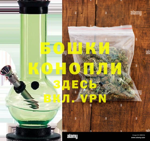 прущие грибы Волосово