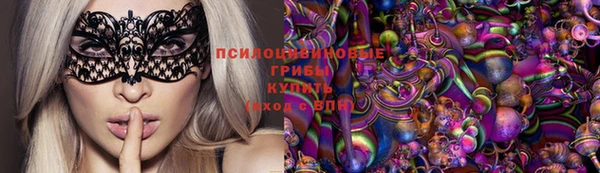 прущие грибы Волосово