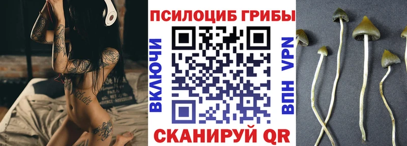 Псилоцибиновые грибы ЛСД  купить закладку  Тамбов 
